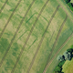Cropmarks near Langstone, Newport, Wales.
